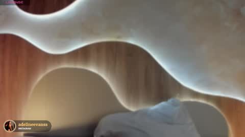 Snapshot of adelineevanss chatting on November 18, 7:51 pm adeline online show from November 18, 7:51 pm