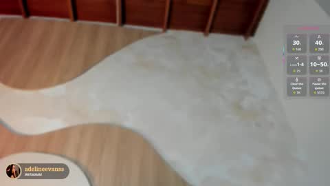 Snapshot of adelineevanss chatting on November 23, 7:57 pm adeline online show from November 23, 7:57 pm