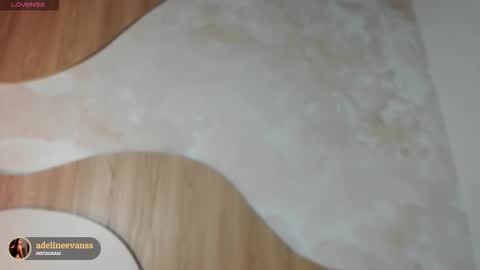 Snapshot of adelineevanss chatting on November 27, 7:05 pm adeline online show from November 27, 7:05 pm