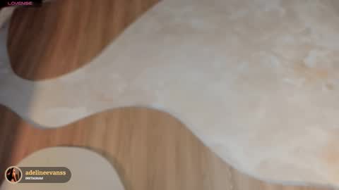 Snapshot of adelineevanss chatting on November 28, 7:16 pm adeline online show from November 28, 7:16 pm