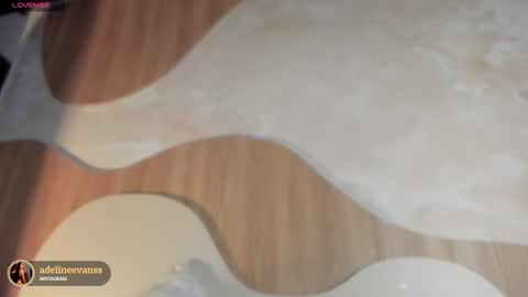 Snapshot of adelineevanss chatting on November 29, 7:06 pm adeline online show from November 29, 7:06 pm