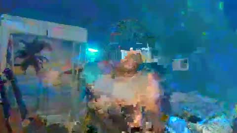 Snapshot of adoniswoody chatting on December 31, 12:32 am Adonis XDDDDDDDD Woody online show from December 31, 12:32 am