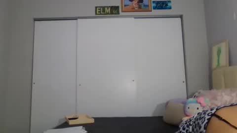 Snapshot of adriana318798 chatting on November 30, 2:59 am Princess Adri online show from November 30, 2:59 am