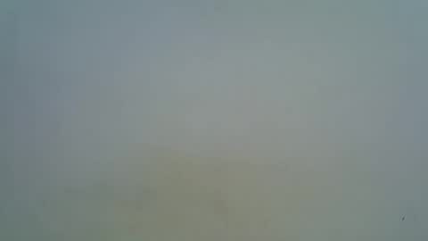 Snapshot of afronubians chatting on March 5, 9:16 am afronubians online show from March 5, 9:16 am