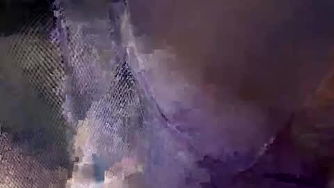 Snapshot of aj297914 chatting on October 18, 5:54 am aj297914 online show from October 18, 5:54 am