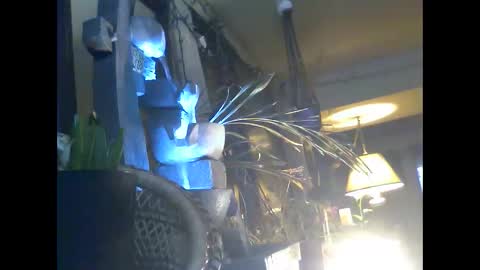 Snapshot of ajstevens326 chatting on November 3, 11:11 am ajstevens326 online show from November 3, 11:11 am