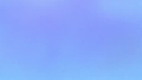 Alaia online show from November 1, 10:01 pm