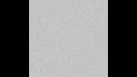 Alan Noir online show from March 13, 11:06 am