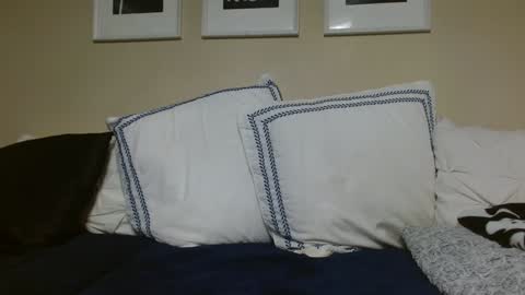 Snapshot of alannarack chatting on November 20, 3:01 pm Alanna Rack online show from November 20, 3:01 pm