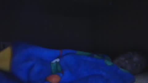 Snapshot of aledewalt chatting on December 4, 12:03 pm call me on skp alexdewalt online show from December 4, 12:03 pm