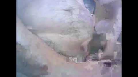 Snapshot of aleksandarcoabatica chatting on October 22, 8:58 am aleksandarcoabatica online show from October 22, 8:58 am