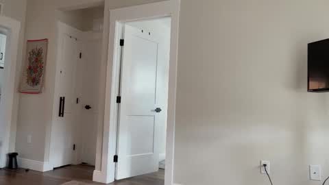 alex  online show from October 22, 6:51 pm