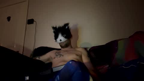 Snapshot of alex_essex69 chatting on February 26, 12:42 am alex_essex69 online show from February 26, 12:42 am