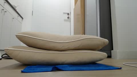 Snapshot of alex_nicha chatting on September 21, 4:47 am Nicha online show from September 21, 4:47 am