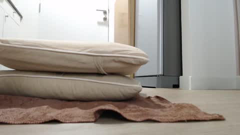 Snapshot of alex_nicha chatting on October 18, 3:20 am Nicha online show from October 18, 3:20 am