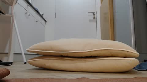 Snapshot of alex_nicha chatting on November 5, 3:06 am Nicha online show from November 5, 3:06 am