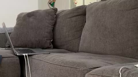 Snapshot of alex_ruiz_ chatting on November 3, 6:53 pm Alex online show from November 3, 6:53 pm