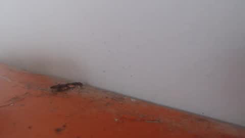 Snapshot of alexamdergal chatting on November 24, 12:21 am Alexamdergal online show from November 24, 12:21 am