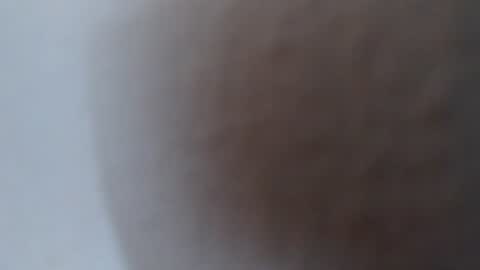 Alexamdergal online show from July 2, 5:30 pm