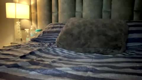 alexander grey online show from March 12, 11:44 pm