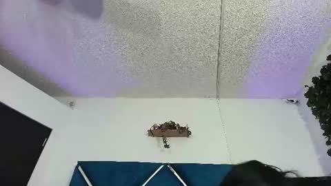 Alexa online show from June 13, 12:19 am