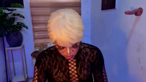 alexgrayanx online show from November 19, 4:56 am