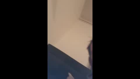 alexhowardc online show from January 6, 10:12 pm