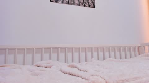 Alichery online show from January 25, 6:55 am