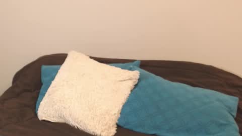 Snapshot of alice_middle01 chatting on September 11, 4:18 pm Alice online show from September 11, 4:18 pm