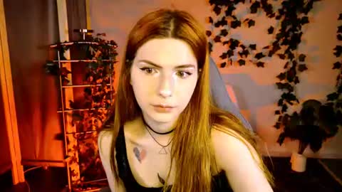 Alice online show from July 24, 5:16 am