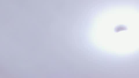 Snapshot of alicekiing_ chatting on February 17, 7:47 am ALICEKIING online show from February 17, 7:47 am