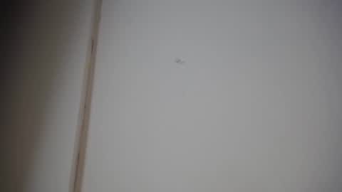 Ali online show from January 10, 12:15 pm