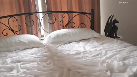 Snapshot of alissa_wxw chatting on February 19, 10:23 am Alissa online show from February 19, 10:23 am