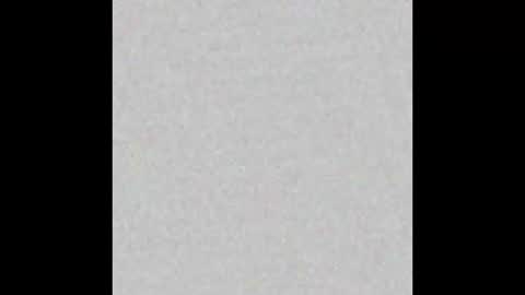 Alisse online show from February 16, 12:01 pm