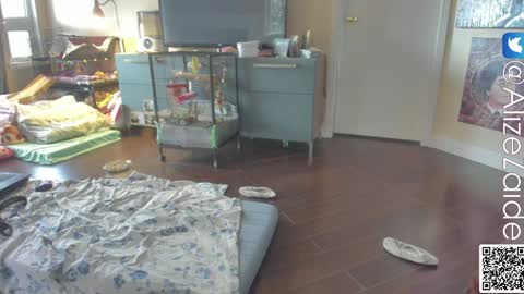 Snapshot of alizezaide chatting on January 10, 10:04 pm Alize Zaide online show from January 10, 10:04 pm