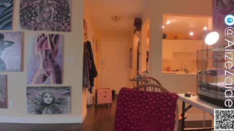 Snapshot of alizezaide chatting on February 8, 11:24 pm Alize Zaide online show from February 8, 11:24 pm