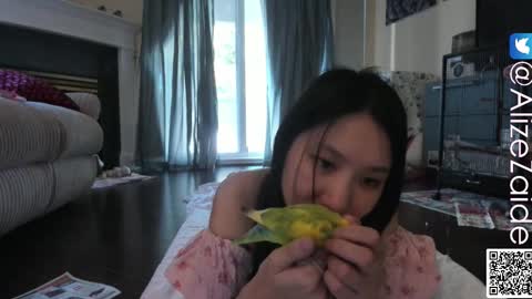 Snapshot of alizezaide chatting on October 13, 8:31 pm Alize Zaide online show from October 13, 8:31 pm