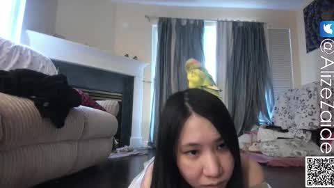 Snapshot of alizezaide chatting on November 17, 8:58 pm Alize Zaide online show from November 17, 8:58 pm