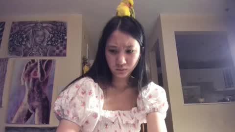 Snapshot of alizezaide chatting on December 18, 7:42 pm Alize Zaide online show from December 18, 7:42 pm