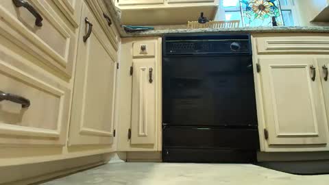 wishlist on bio online show from December 4, 7:22 pm