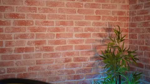 Allie online show from December 21, 9:01 am