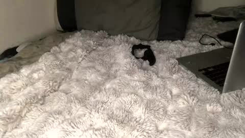 Snapshot of allthewayup10 chatting on March 2, 8:38 am allthewayup10 online show from March 2, 8:38 am