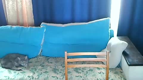 almirsex online show from June 28, 9:15 am