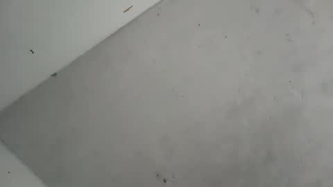 Snapshot of alondracc chatting on October 7, 12:13 pm Contreras online show from October 7, 12:13 pm