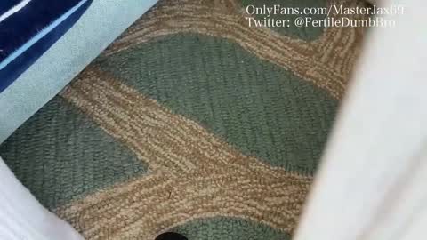 Snapshot of alphamasterjax chatting on October 27, 4:00 pm MasterJax69 online show from October 27, 4:00 pm