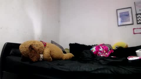 Snapshot of alynfoxx chatting on June 24, 6:51 pm Alyn Maria online show from June 24, 6:51 pm