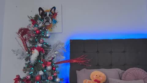 Amanda online show from December 14, 5:07 pm