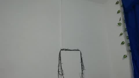 ambel_rose online show from December 11, 1:05 am