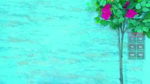  AMELIA.  online show from March 14, 2:17 am