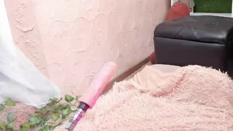 amelialu1 online show from May 21, 7:37 am